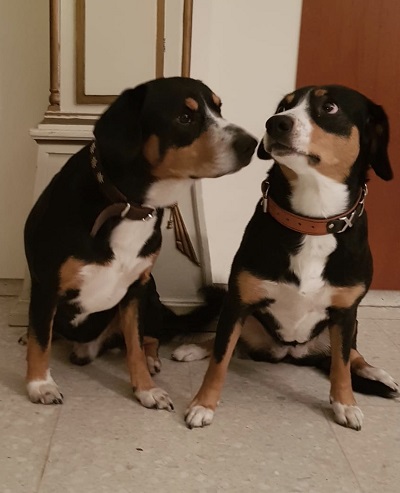 f26f0e47-2c59-4411-8c23-2ae5d9712792